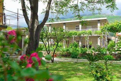 Apartmani Mihovic - JAZ Apartment in Budva Municipality