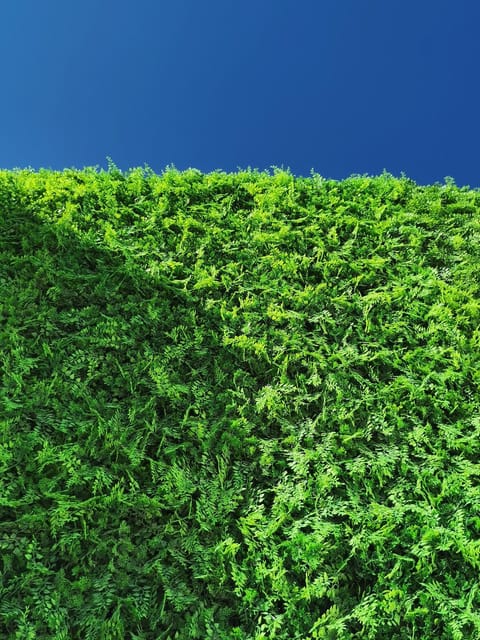 Villa Del Sol Santorini Villa in Mesaria