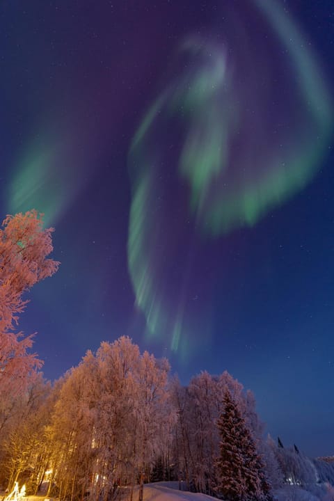Riverhouse Lumo House in Lapland