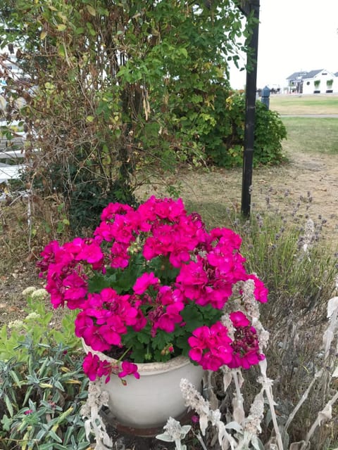 Villa Lavendel Bed and Breakfast in Kalmar County, Sweden