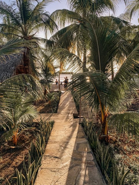 Natural landscape, Garden, Garden, Sea view, Sunset