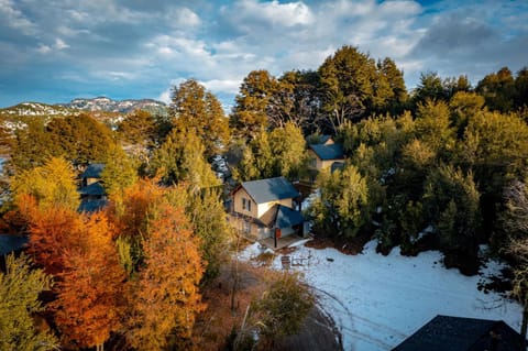 Natural landscape, Bird's eye view, Garden