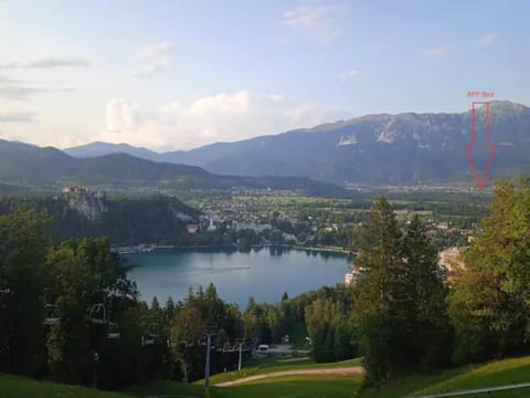 Lake view