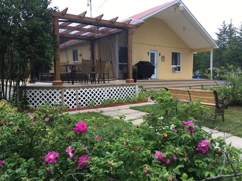 Patio, Staff, Communal lounge/ TV room, People, BBQ facilities, Billiard, Casino, Library, Balcony/Terrace, Fitness centre/facilities, Other, Beach, Communal kitchen, Area and facilities, Entertainment, Family, Facility for disabled guests