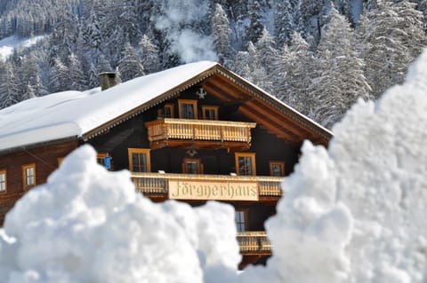 Jörgnerhaus Apartment in Salzburgerland