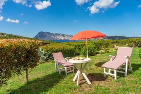 Garden, Garden view, Sea view