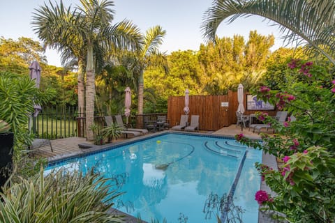Pool view, Swimming pool, sunbed