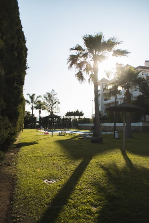 Garden, Swimming pool
