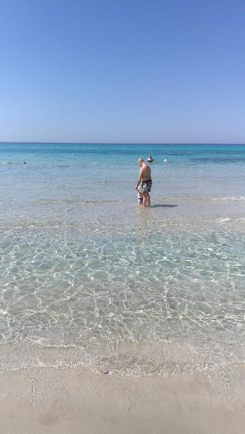Day, Summer, Beach, On site