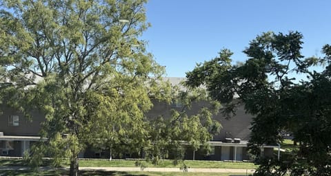 View (from property/room), Quiet street view