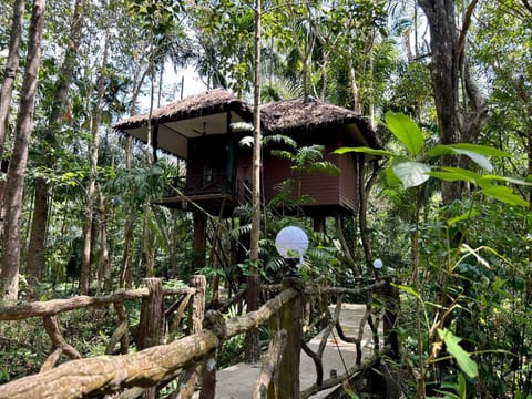 Property building, Natural landscape
