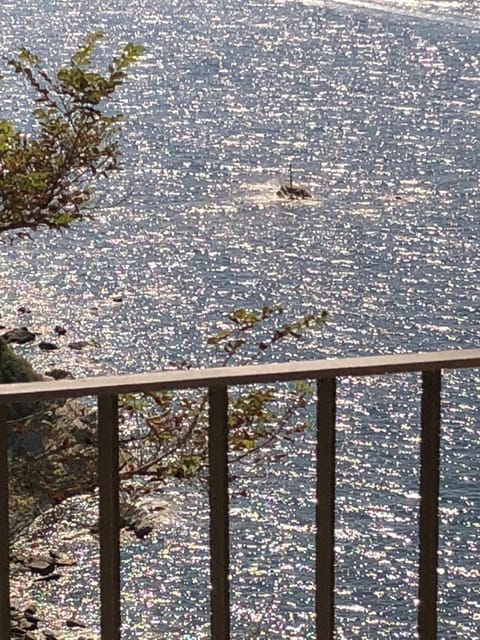 Balcony/Terrace, Landmark view, Sea view