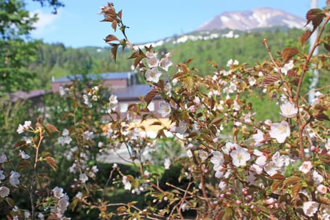 Natural landscape