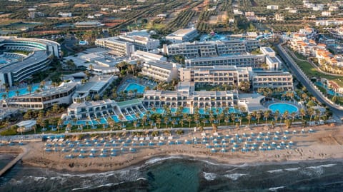 Bird's eye view, Location