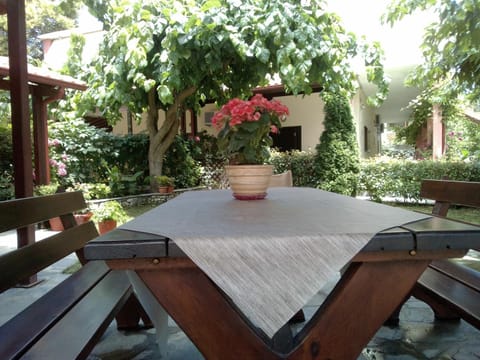 BBQ facilities, Garden, Area and facilities