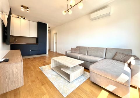 TV and multimedia, Living room, Seating area, air conditioner