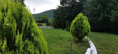 La Cabana Bed and Breakfast in Serbia