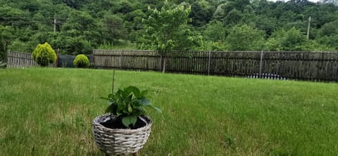 La Cabana Bed and Breakfast in Serbia