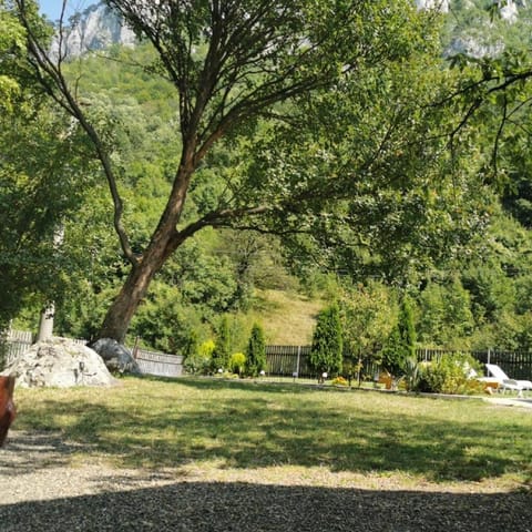 La Cabana Bed and Breakfast in Serbia