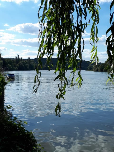 Les Seringats Apartment in Poissy