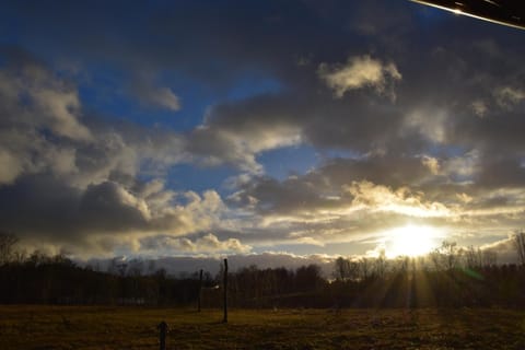 View (from property/room)