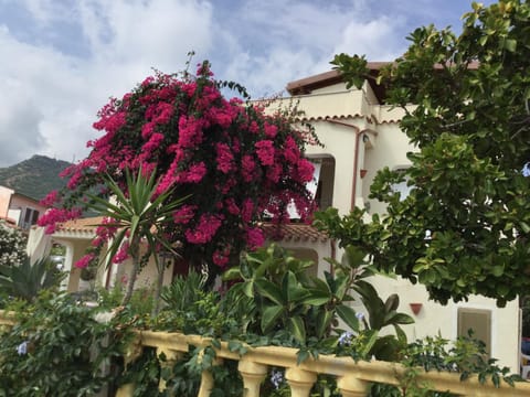 Property building, Garden, Garden view