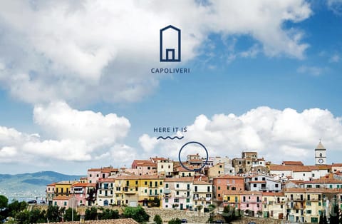 Off site, Bird's eye view, On site