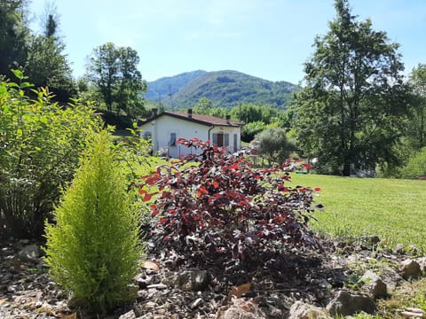 Garden view, Mountain view