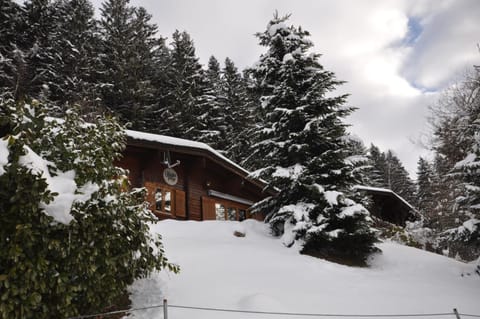 Property building, Winter