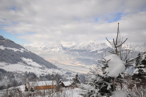 Natural landscape, Winter, View (from property/room), Mountain view