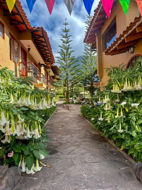 Property building, Garden view, Mountain view