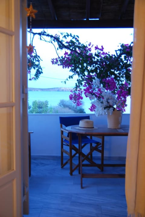 View (from property/room)