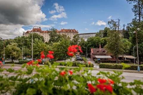 Landmark view
