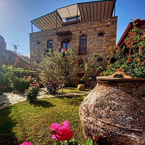 Property view