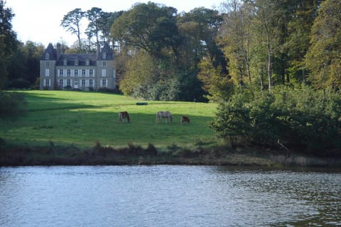 Property building, River view
