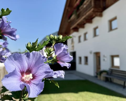 Property building, Summer