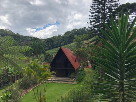 Landmark view