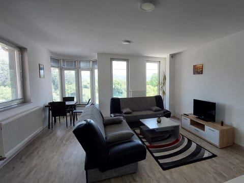 Communal lounge/ TV room, TV and multimedia, Living room