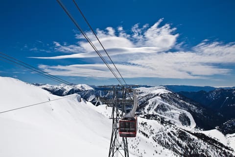 Skiing, Area and facilities