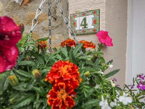 Daisy's Holiday Cottage House in Skipton