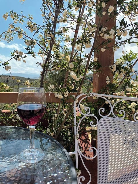 La Petite Planete Hotel in Argolis, Greece