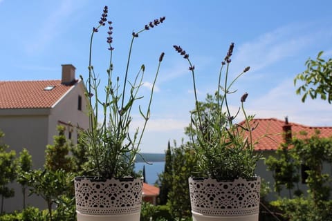 Mia 4 Apartment in Crikvenica