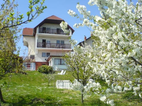 Property building, Day, Garden