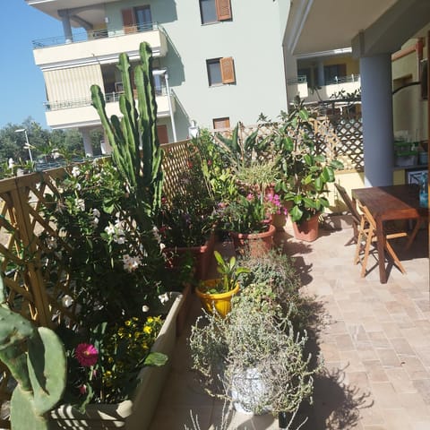Garden, Garden view