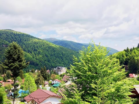 Spring, Day, Neighbourhood, Natural landscape, Bird's eye view, Summer, View (from property/room), Hiking, On site, City view, Landmark view, Mountain view, Street view