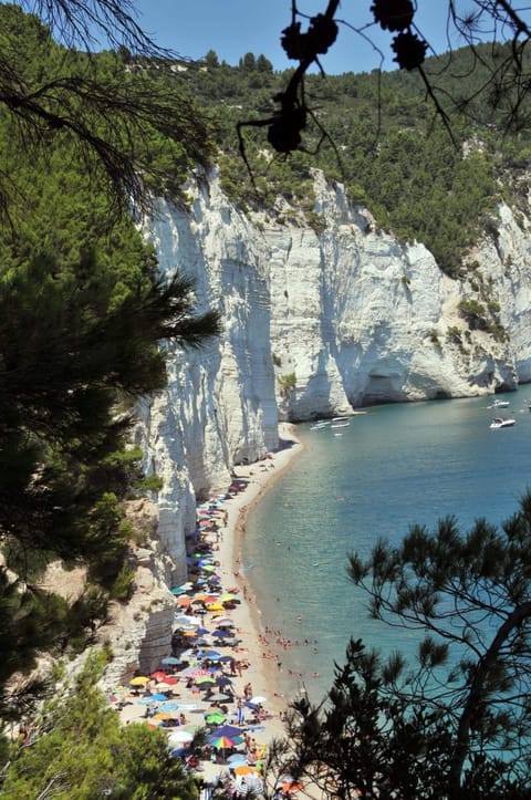 Natural landscape, Beach, Hiking