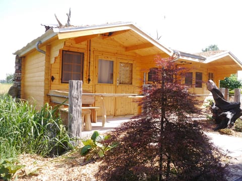 Villa Sperlingslust Nature lodge in Rheinsberg