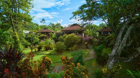 Natural landscape, Bird's eye view, Garden, Garden view