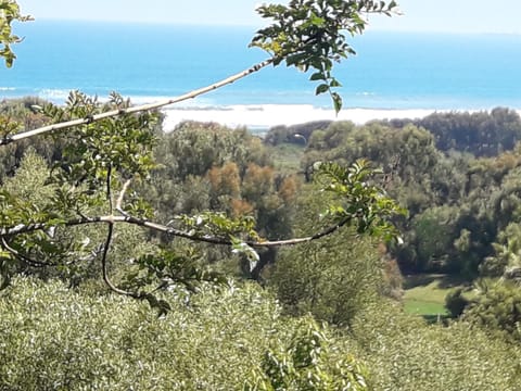 Spring, Natural landscape, Sea view