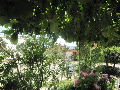 Fran Apartment in Crikvenica